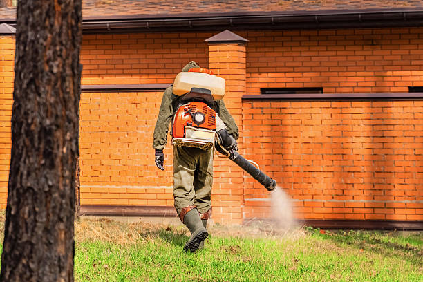 Bed Bug Clearance Verification and Documentation in Forest City